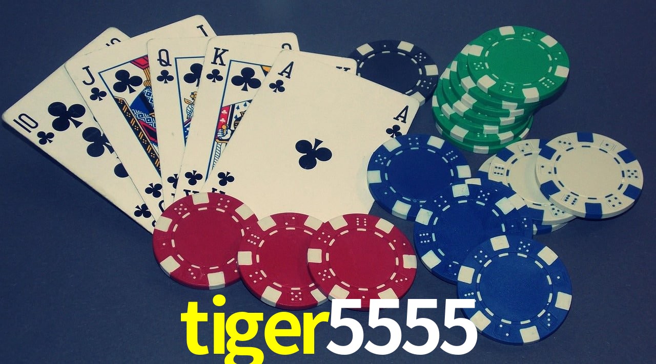 Experiência VIP tiger5555