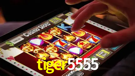Live Casino tiger5555