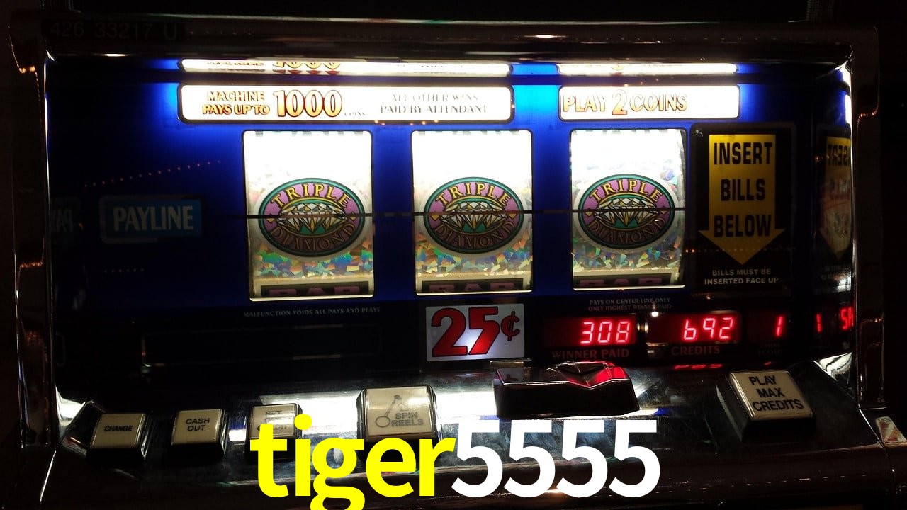 Aviator Game tiger5555